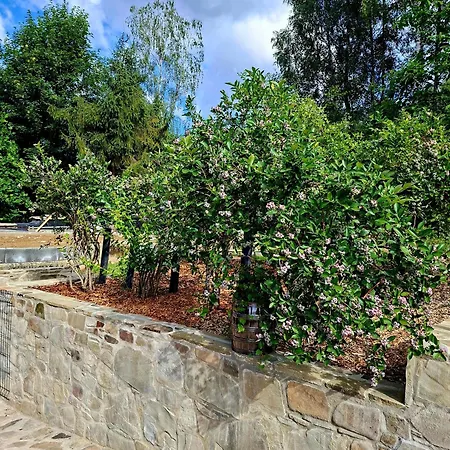 Villa Brzozowy Zakatek View & *
